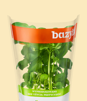 Bazylia