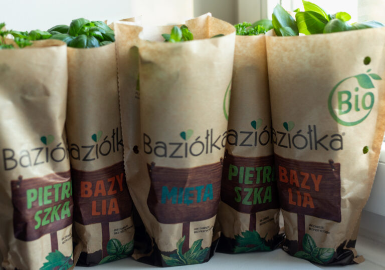 Zioła, które odstraszają komary – naturalna ochrona na ciepłe wieczory