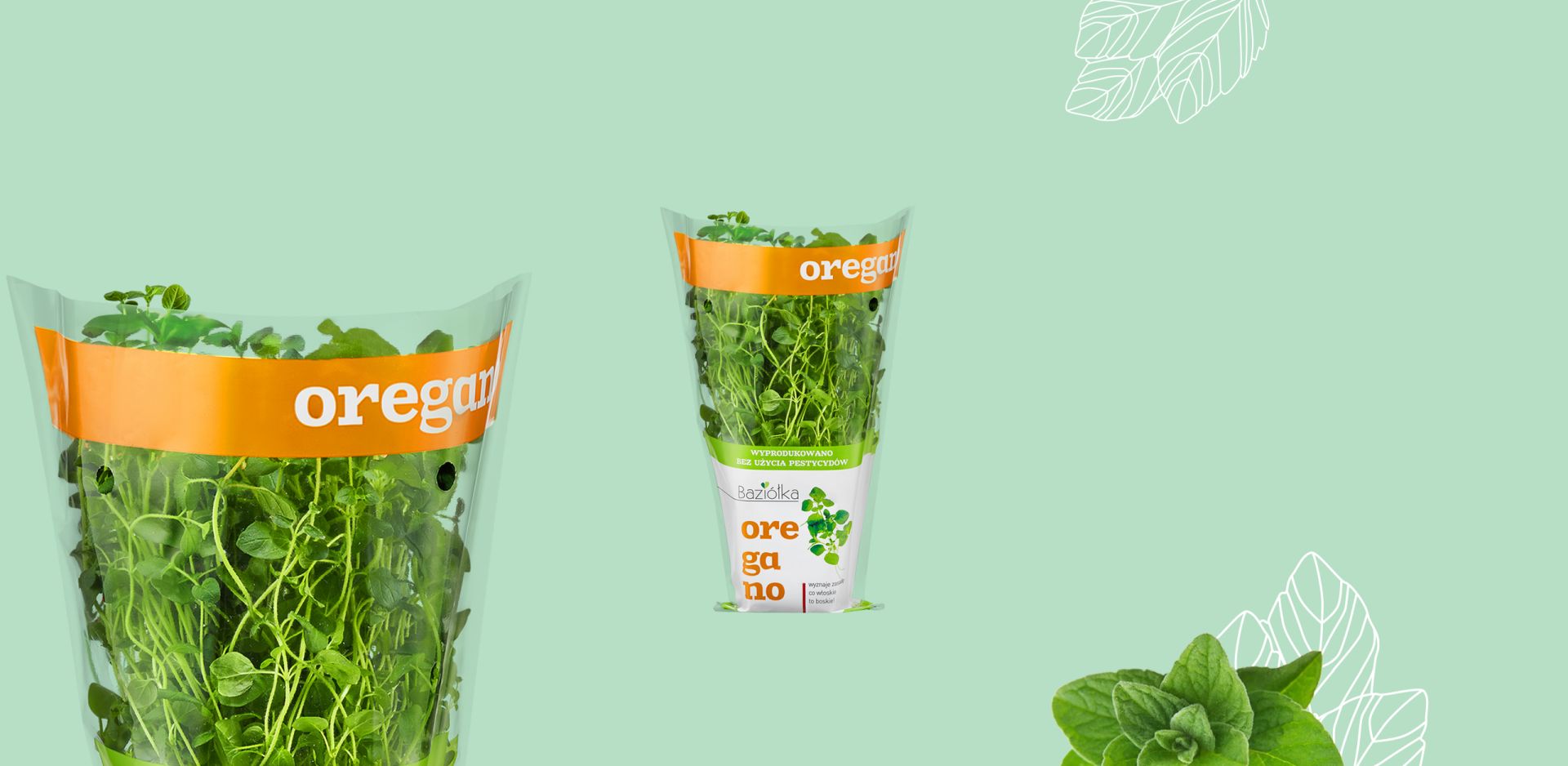 baziolka-ziola-bg-oregano