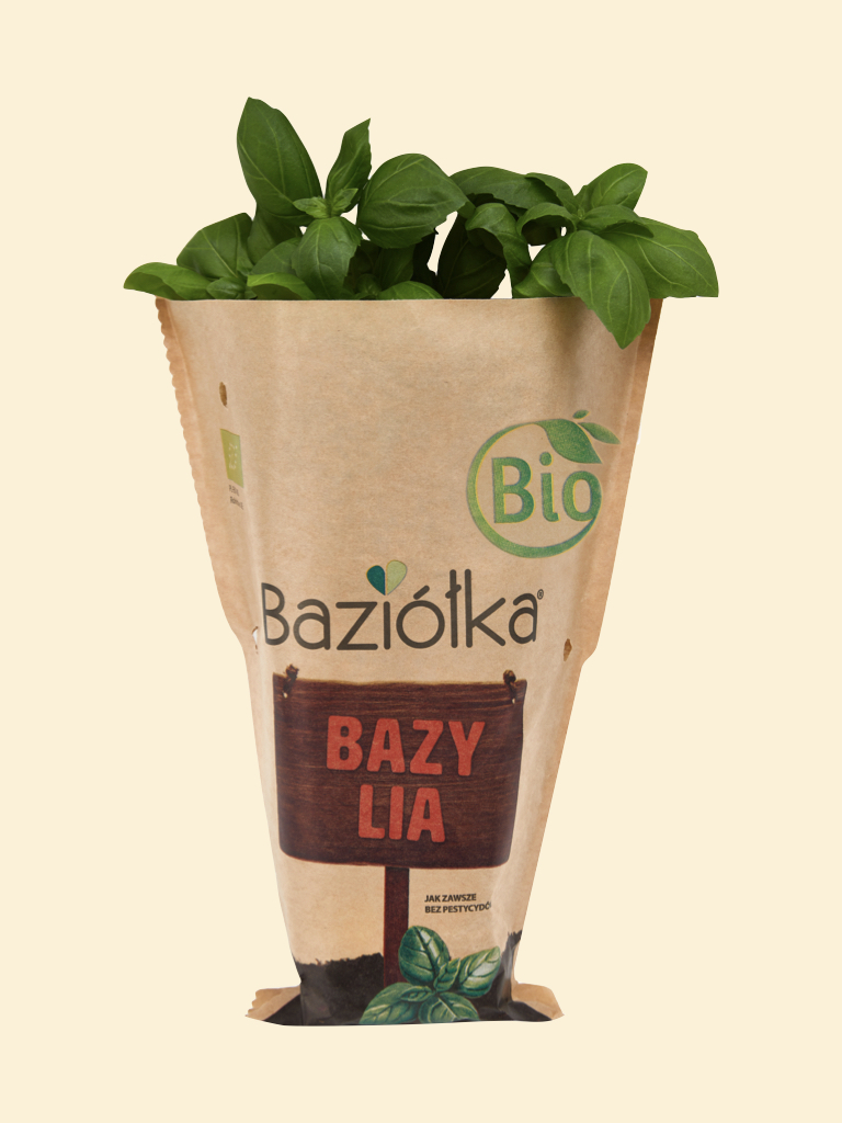 Bazylia BIO