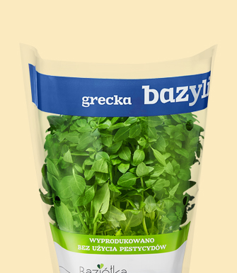 Bazylia grecka
