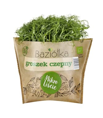 Groszek czepny