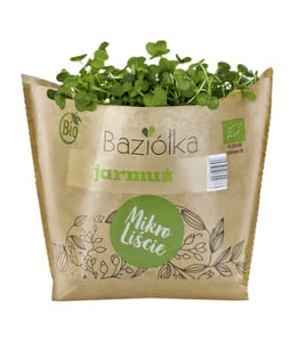 Jarmuż