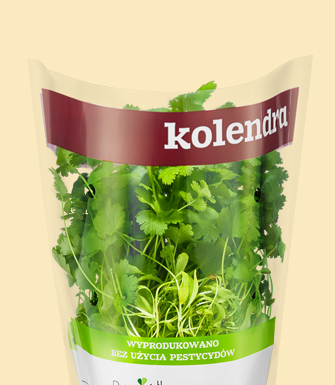 Kolendra