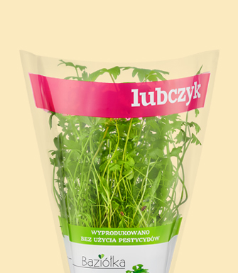 Lubczyk