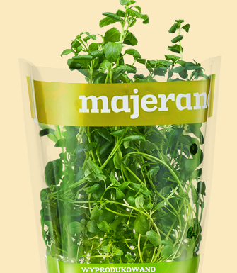 Majeranek