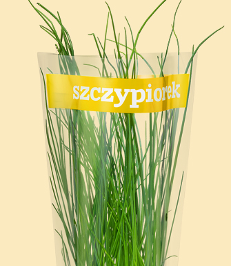 Szczypiorek