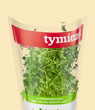 Tymianek