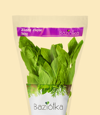 Bazylia Cięte