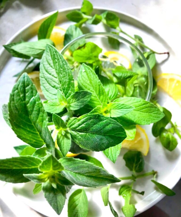 Ziołowe ice tea